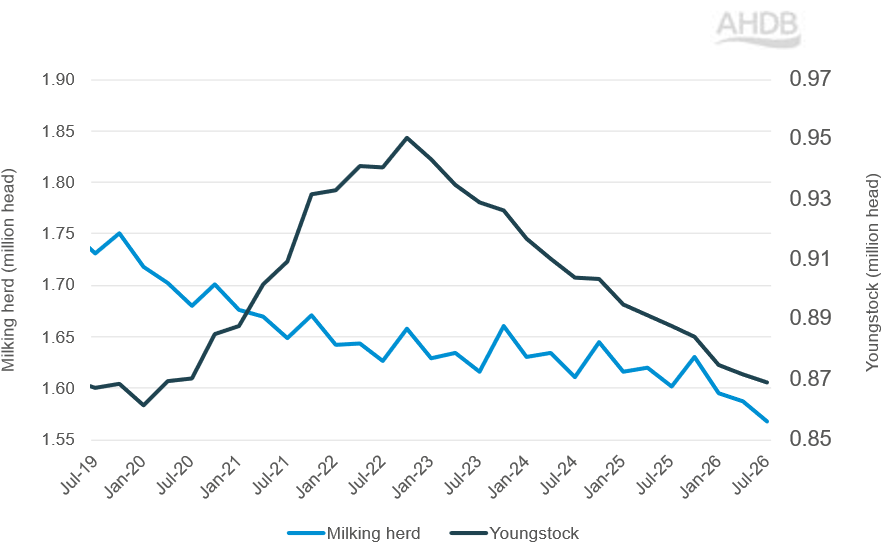 A line chart showing GB female dairy milking heard and youngstock numbers in million head.